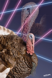 Turkey - 80's Laser Background - Yesteryay